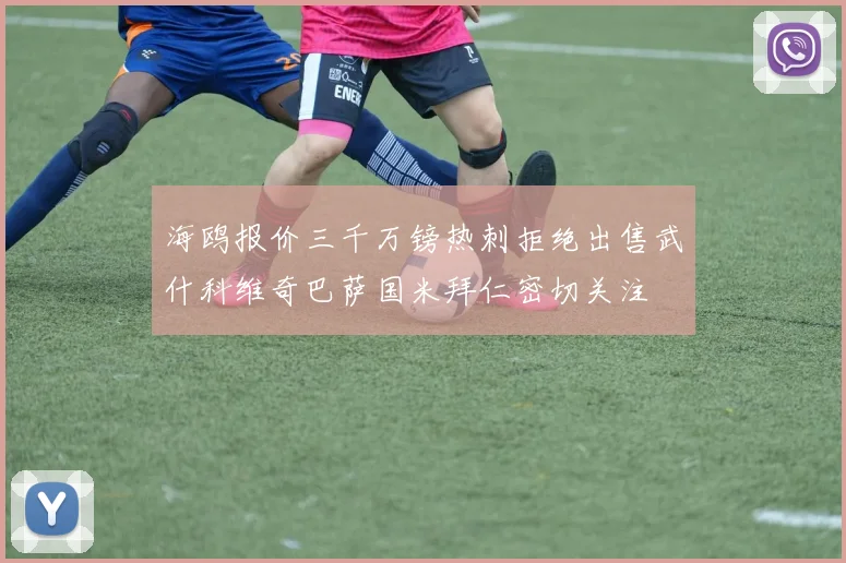 海鸥报价三千万镑热刺拒绝出售武什科维奇巴萨国米拜仁密切关注
