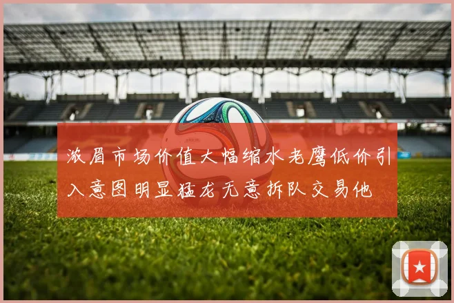 浓眉市场价值大幅缩水老鹰低价引入意图明显猛龙无意拆队交易他