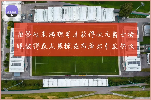 抽签结果揭晓奇才获得状元爵士榜眼彼得森灰熊探花布泽尔引发热议